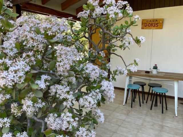 Casa Doris Villa Vicuña Екстериор снимка
