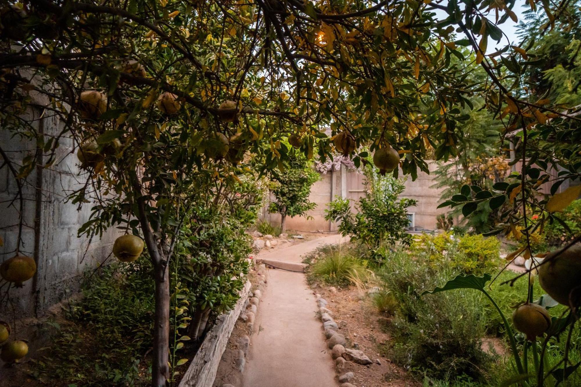 Casa Doris Villa Vicuña Екстериор снимка